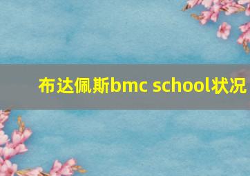 布达佩斯bmc school状况